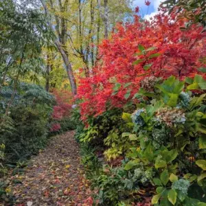 Autumn Equinox Retreat Day